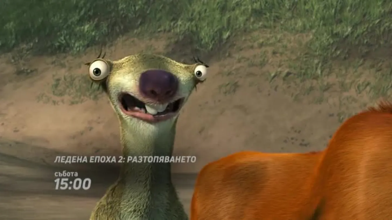 bTV ваканция: 