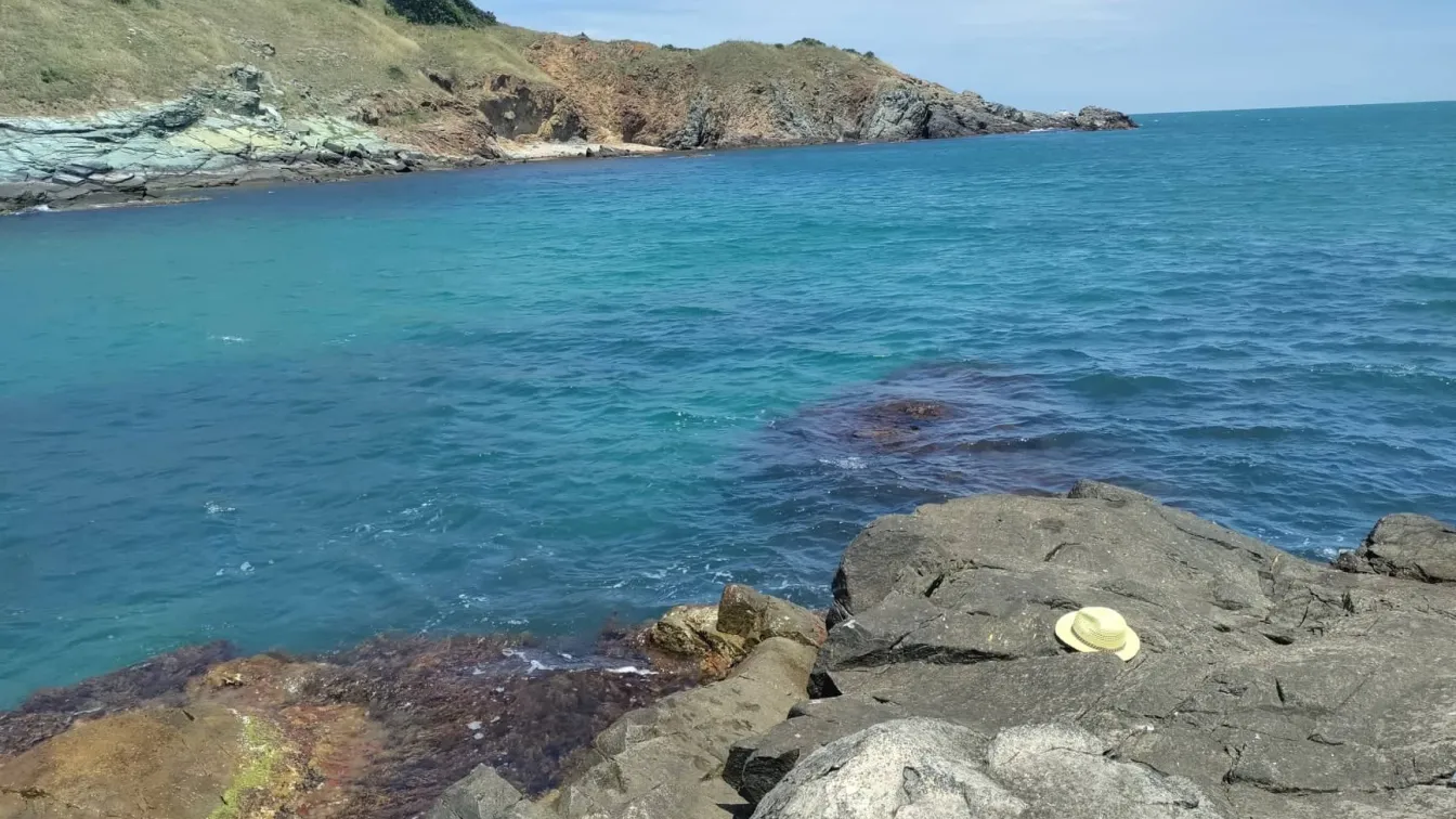 Няма данни за замърсяване на Черно море