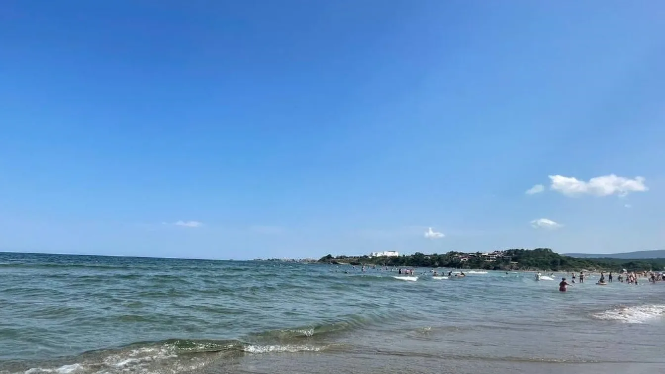 Даровете на морето: Какво се хваща най-често в Черно море?