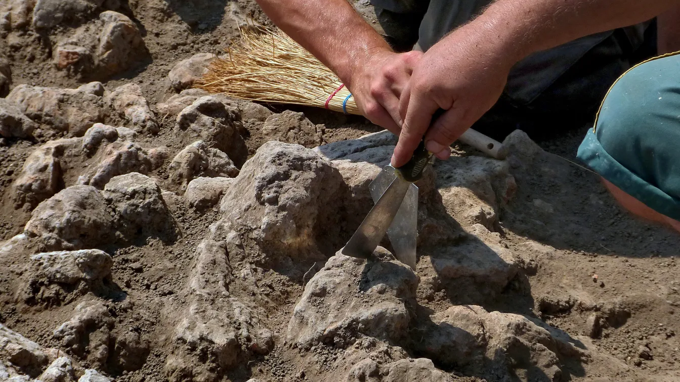 Откриха цял град от византийската епоха в египетския оазис Дахла