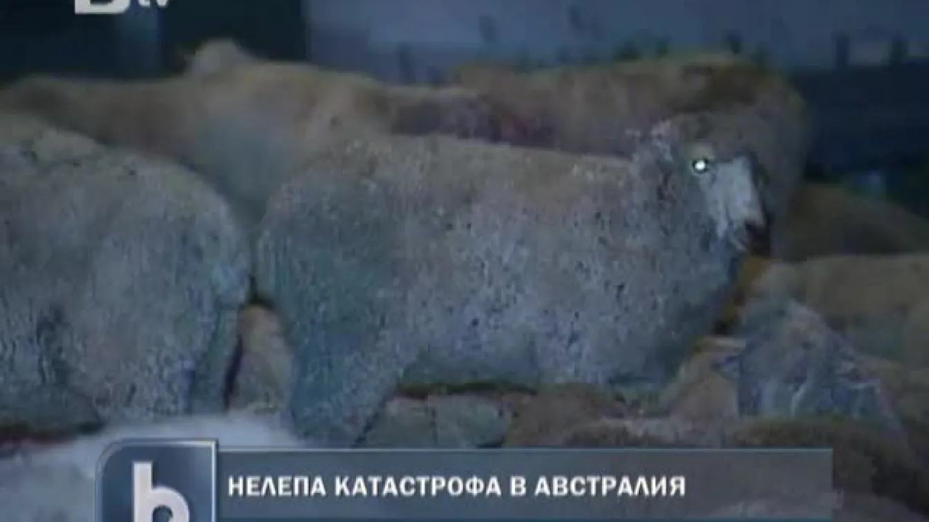 Нелепа катастрофа в Австралия