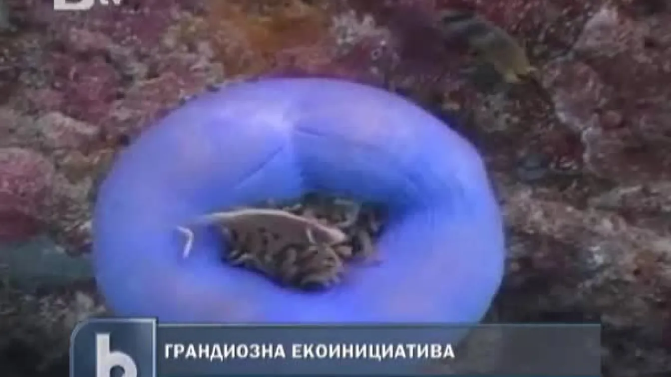 Австралия ще създаде най-голямата мрежа от морски паркове