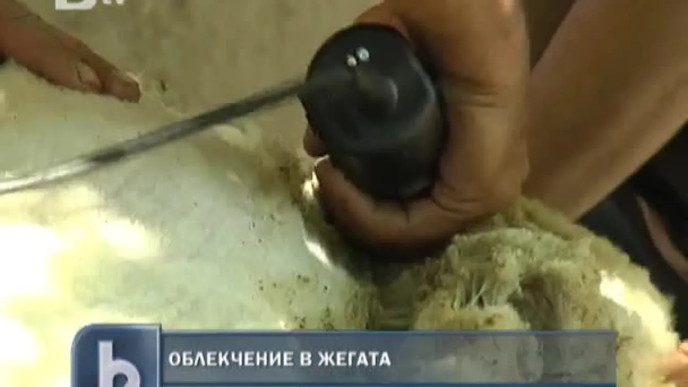 Облегчение в жегата