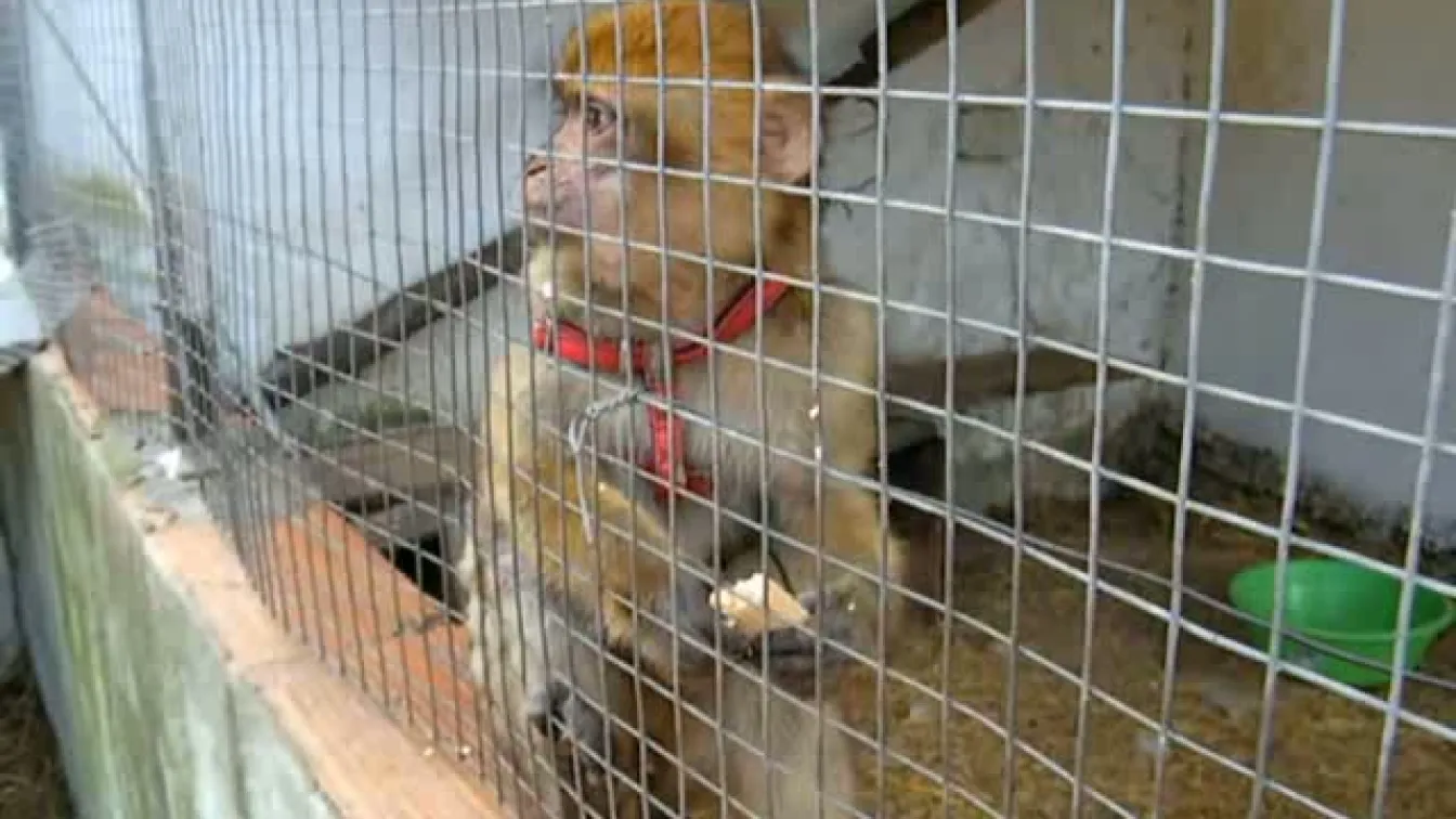 На гости в Тунис