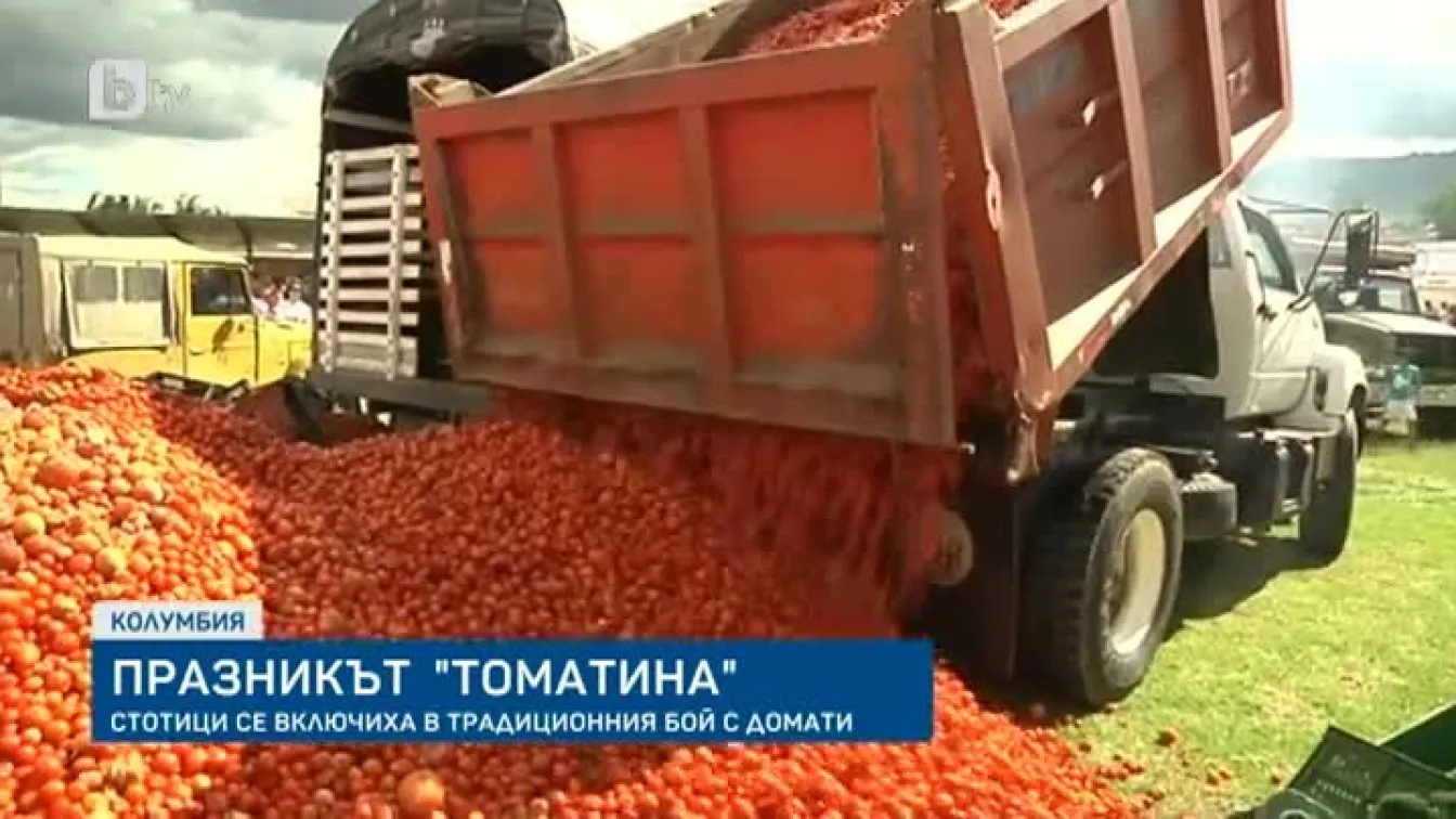 Бой с домати беляза тазгодишната Томатина в Колумбия