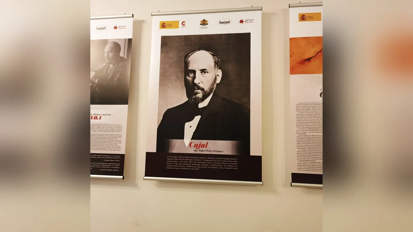 До 16 юни продължава изложбата 
