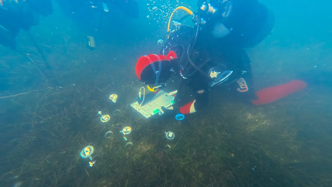 Черно море като лаборатория: Изследвания под вода разкриват неговите тайни