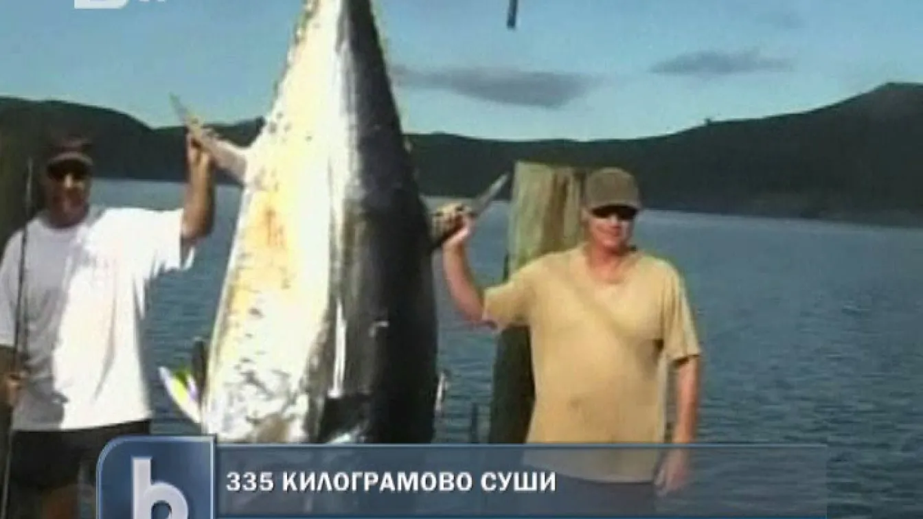 Новозеландец извадил 335-килограмова риба тон с въдица