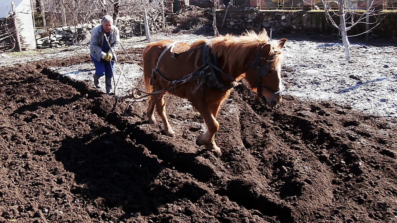 Пролетна оран в село Виноградец
