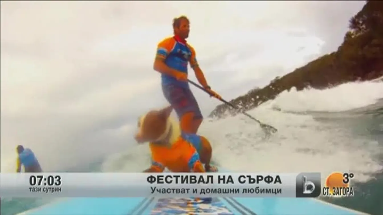 Фестивал на сърфа в Австралия
