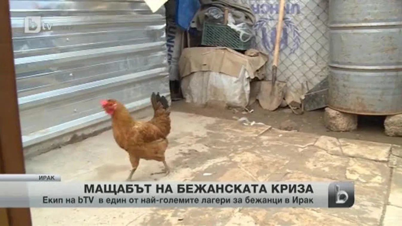 Над 230 хиляди кюрди са потърсили убежище в северен Ирак