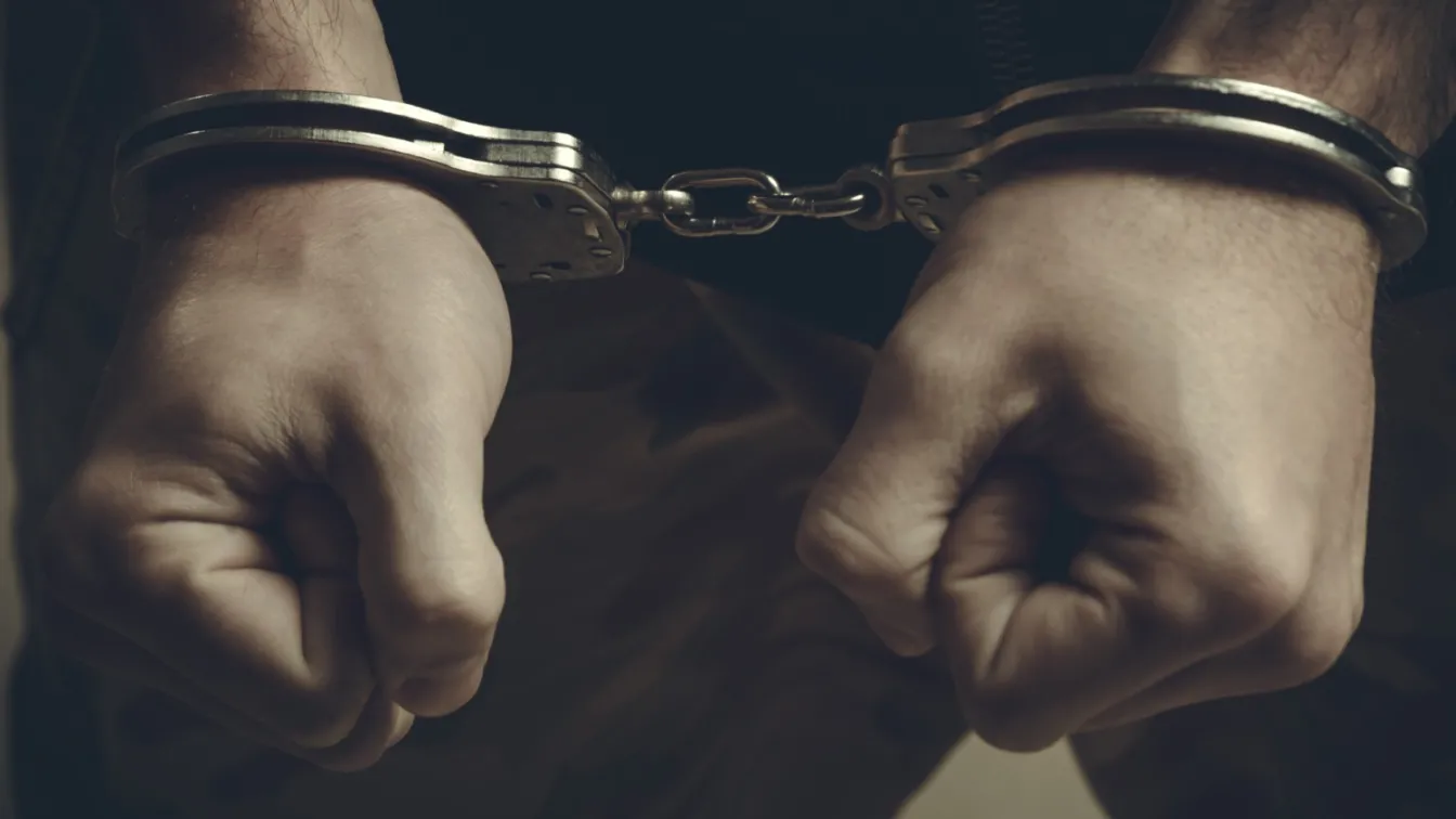 16 сръбски митничари успели да ощетят бюджета с над 11,5 млн. евро