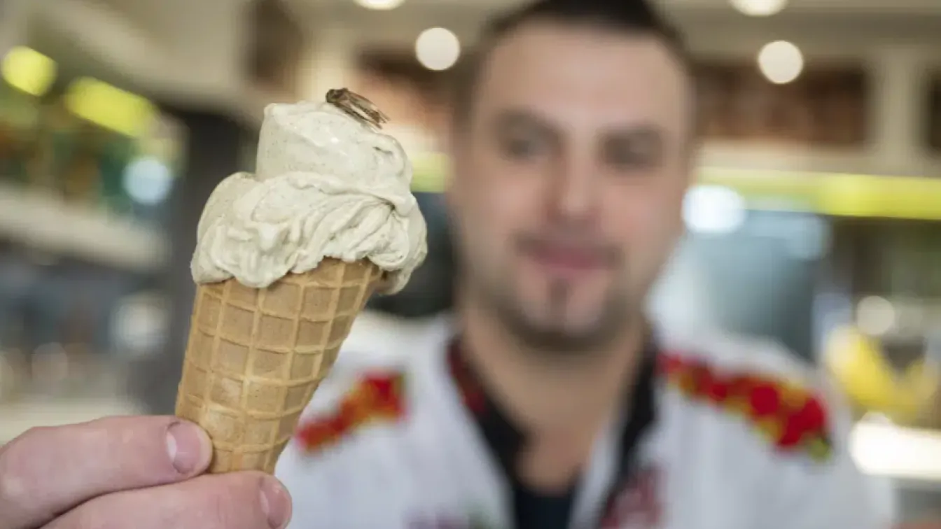 Пуснаха сладолед с вкус на щурец