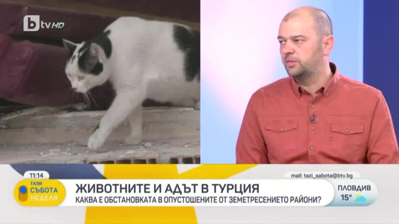 Явор Гечев за спасяването на животни в беда в засегнатите от земетресението райони на Турция
