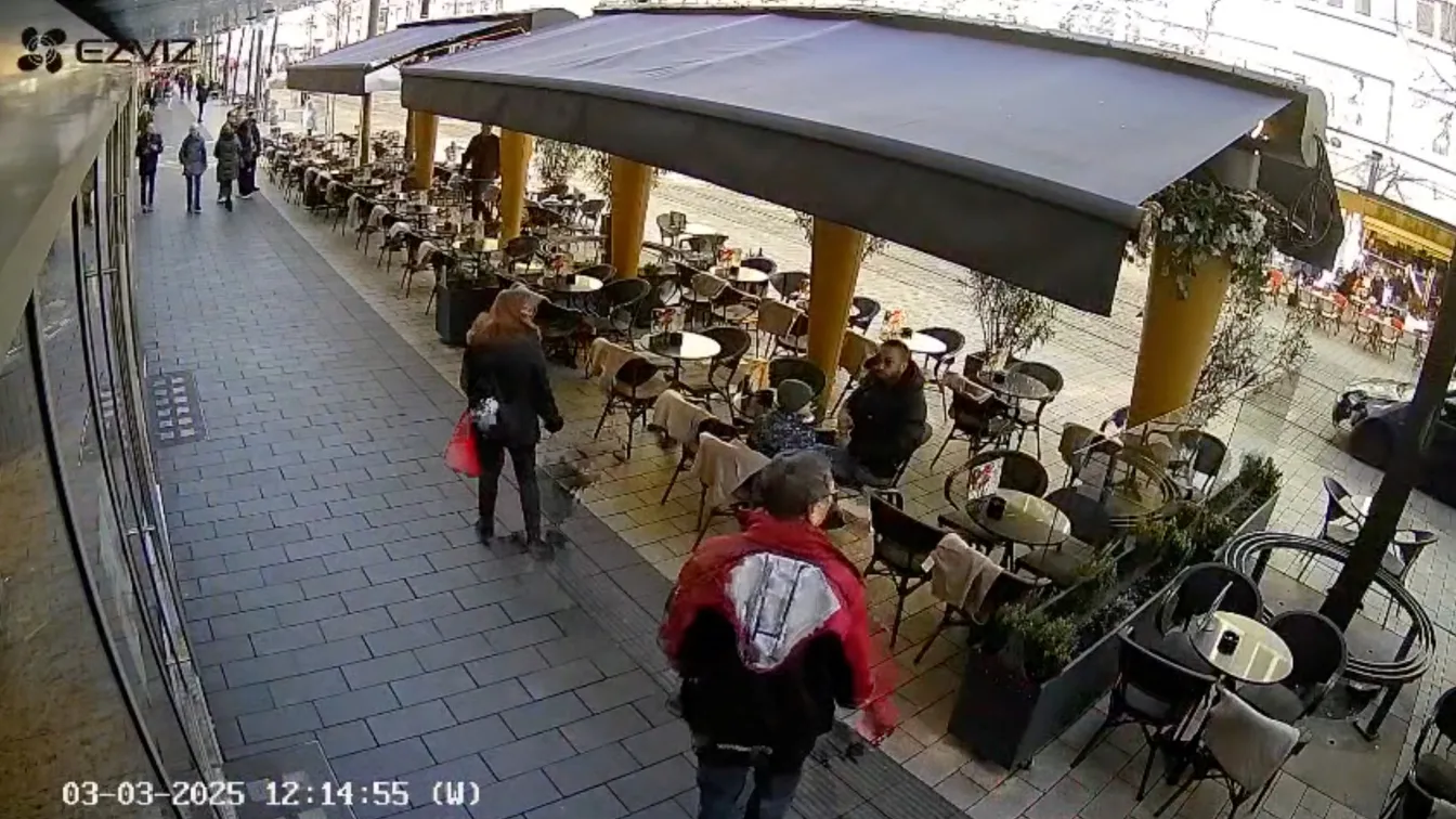 Преди да се вреже в тълпата: Камери заснели как шофьорът в Манхайм профучава с висока скорост (ВИДЕО)   