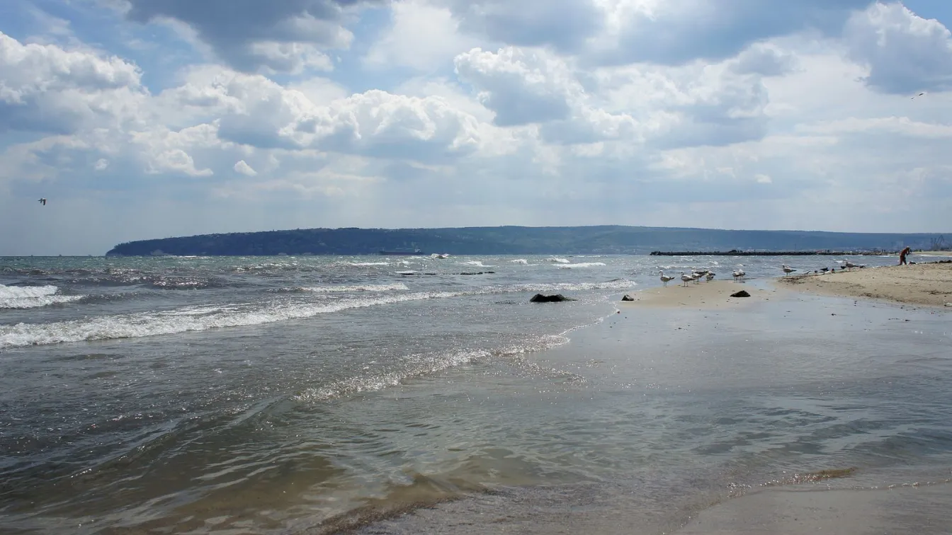 Морски бряг