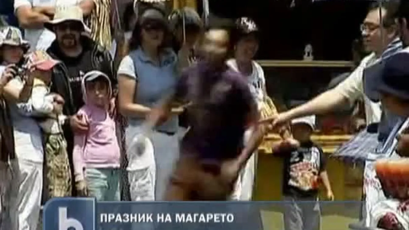 Празник на магарето