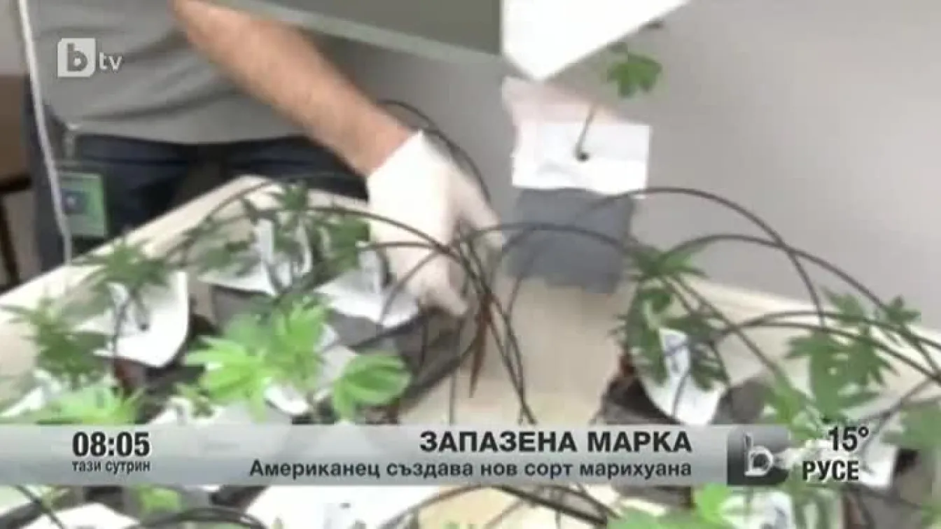 Марихуаната като запазена марка