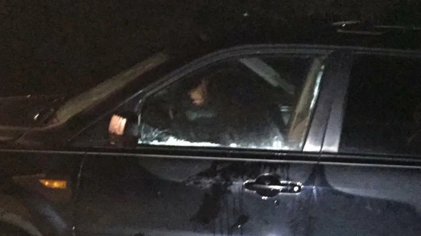 Мечка влезе с взлом в автомобил и се заключи 