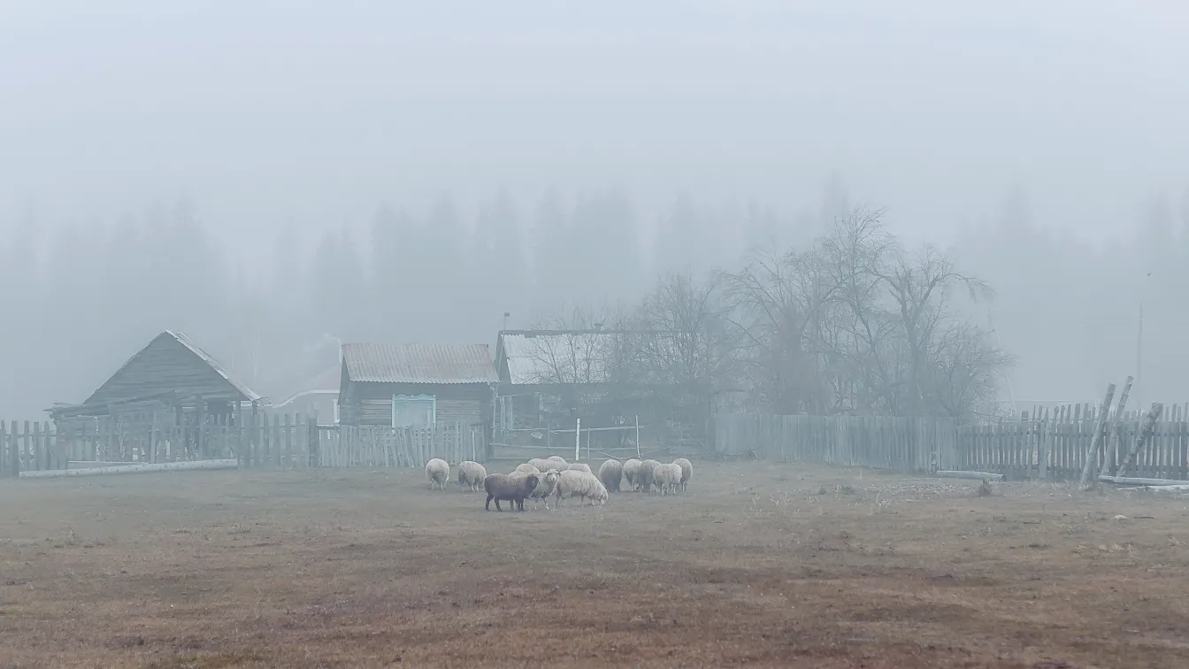 26 г. в плен в мазето на съсед: Откриха изчезналия мъж от Алжир