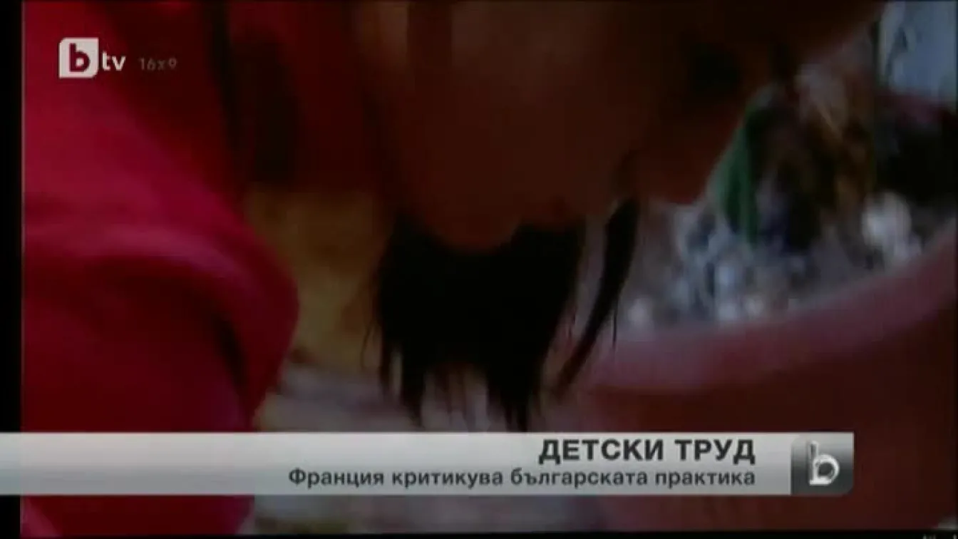 Деца работят в тютюневи полета у нас, възмути се френска телевизия