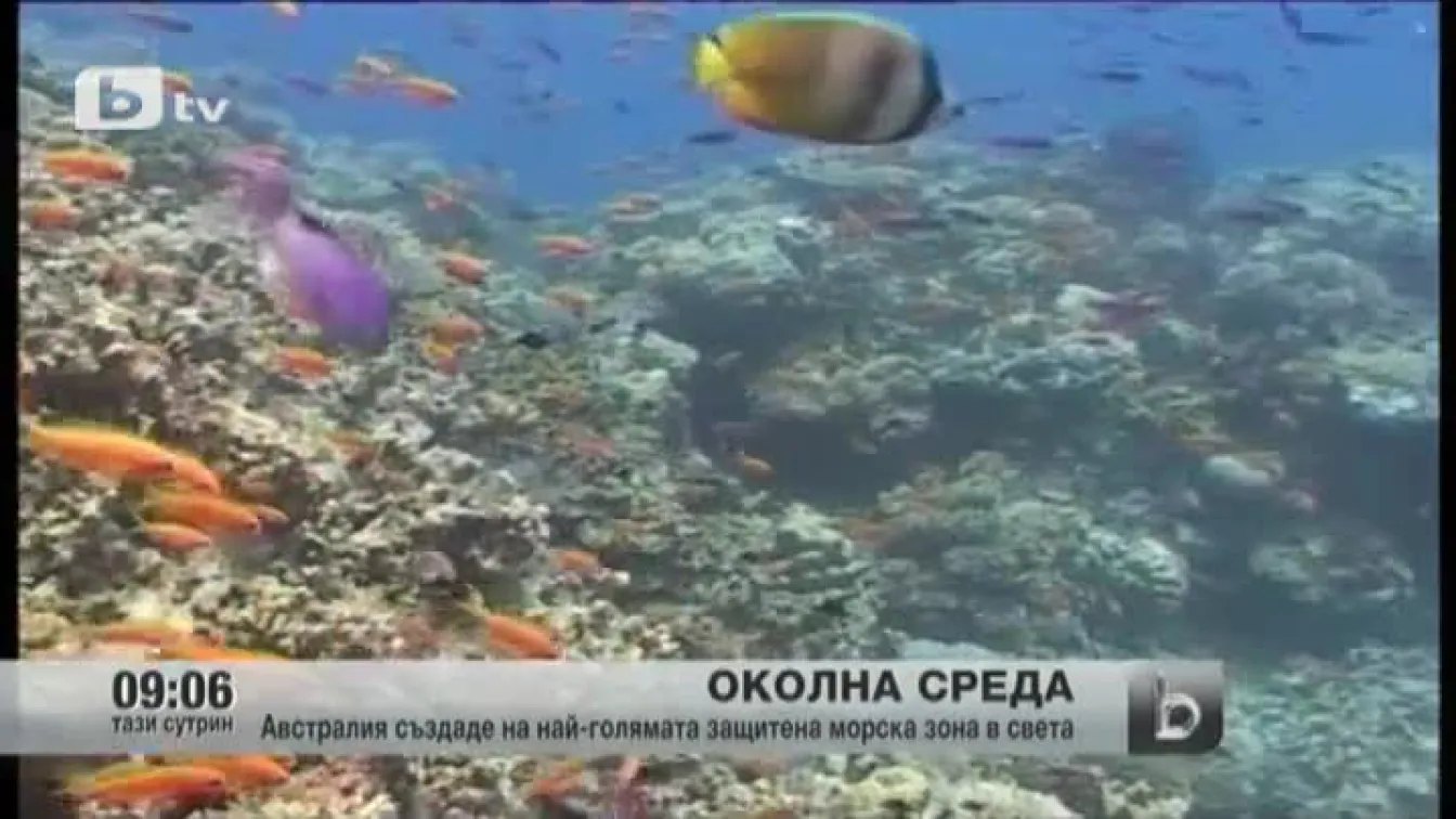 Австралия ще създаде най-голямата защитена морска зона в света