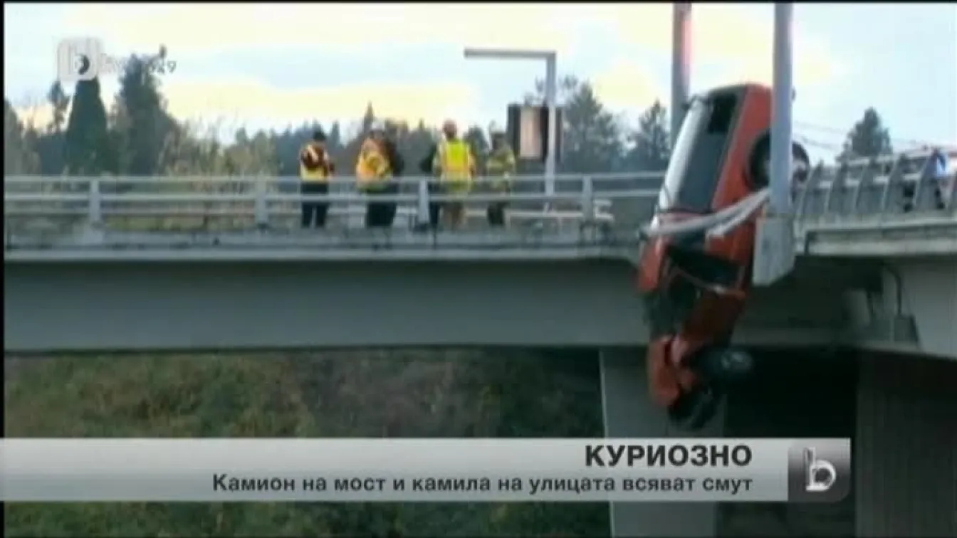 Камион и камила вдигнаха полицията в САЩ на крак