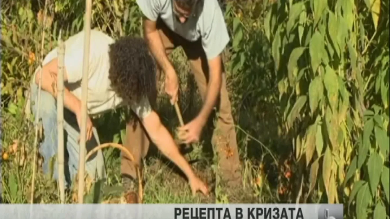 Кризата в Италия направи популярна работата на доброволеца