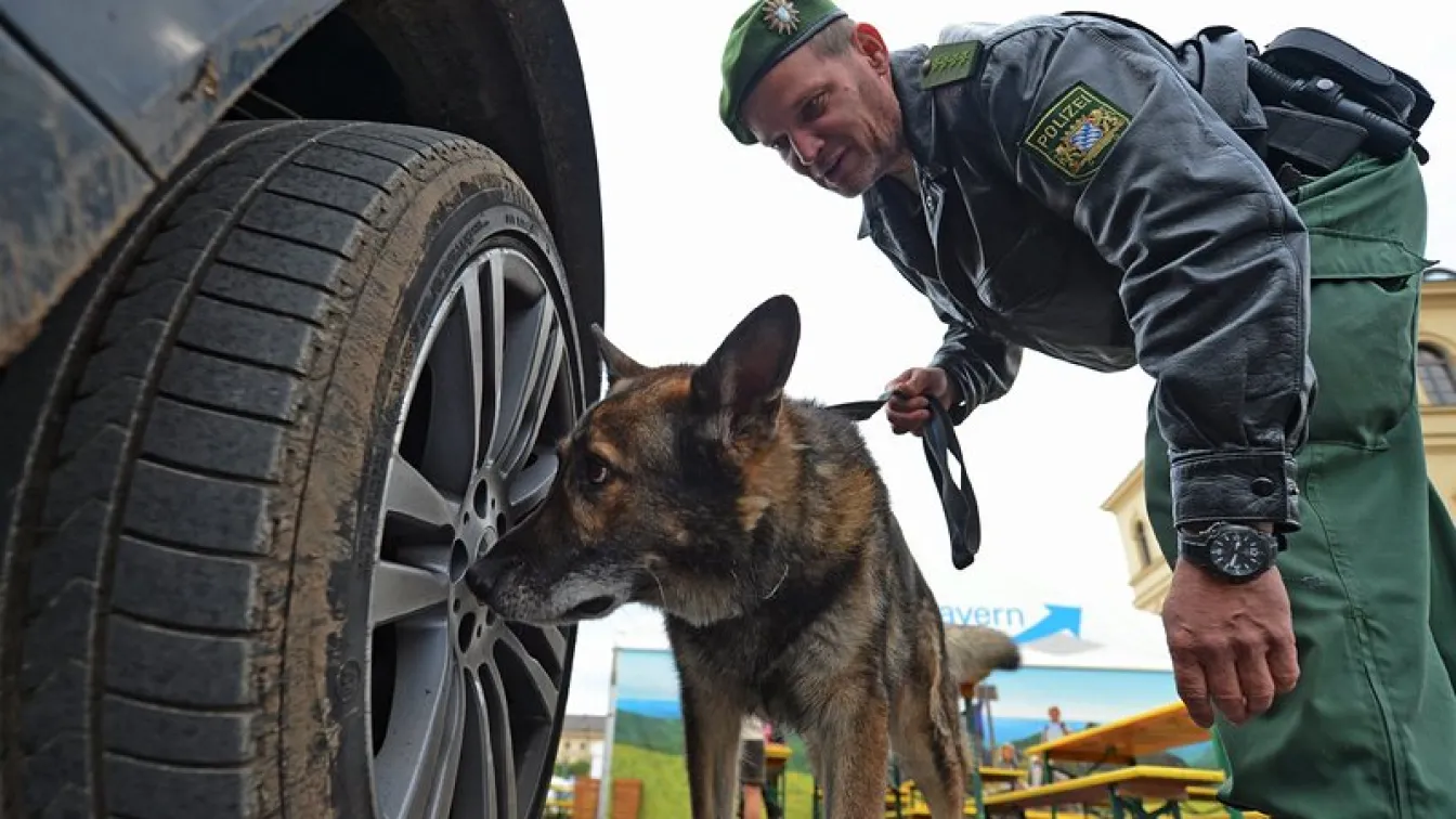 Полицейско куче нахапа шест деца в Германия