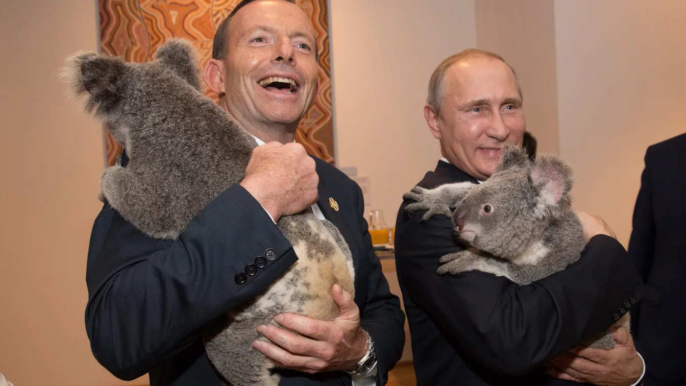Коала дипломация