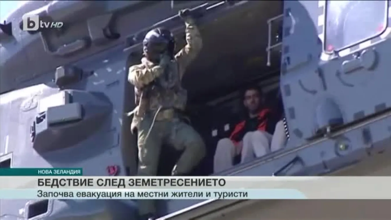 Стадо крави бедства след силния трус в Нова Зеландия 