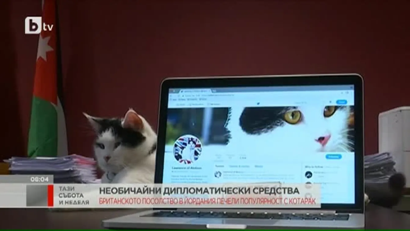 Историите от света - 26.11.2017 г.