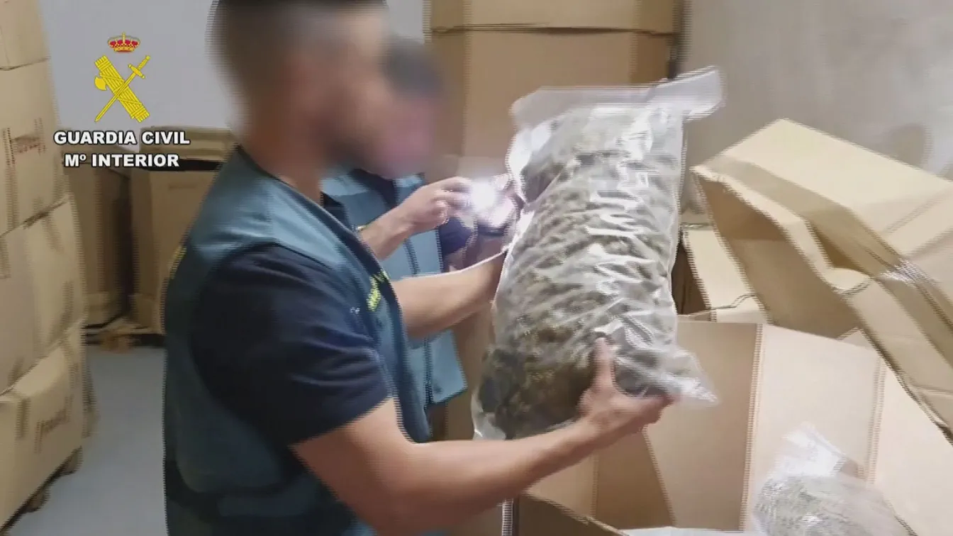 Испания с мащабна операция срещу наркотрафика, иззеха над 32 т марихуана 