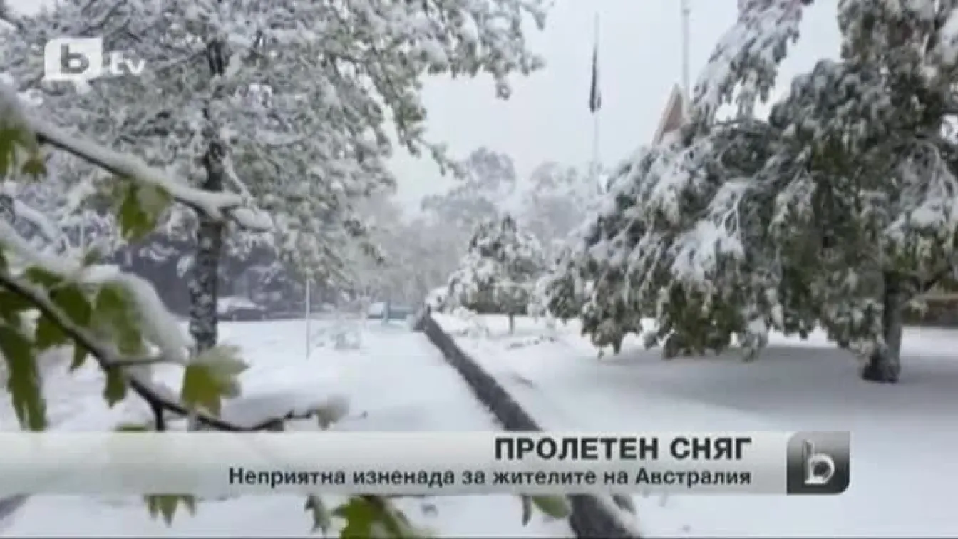 Пролетен сняг неочаквано падна в Австралия