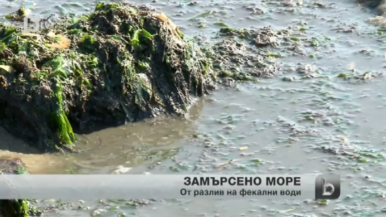 Фекалии замърсяват варненски плаж