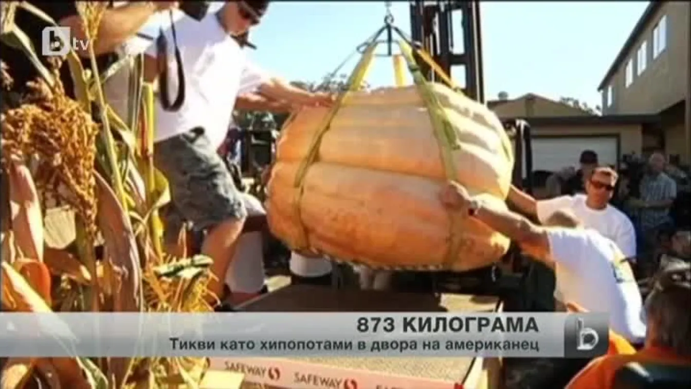 Американец отгледа тиква, тежаща 873 килограма