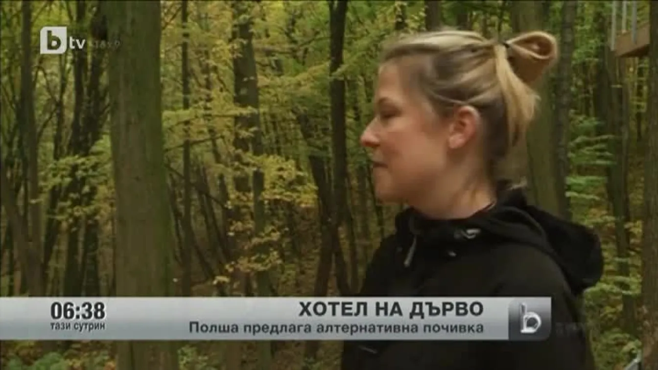 Хотел... на дърво