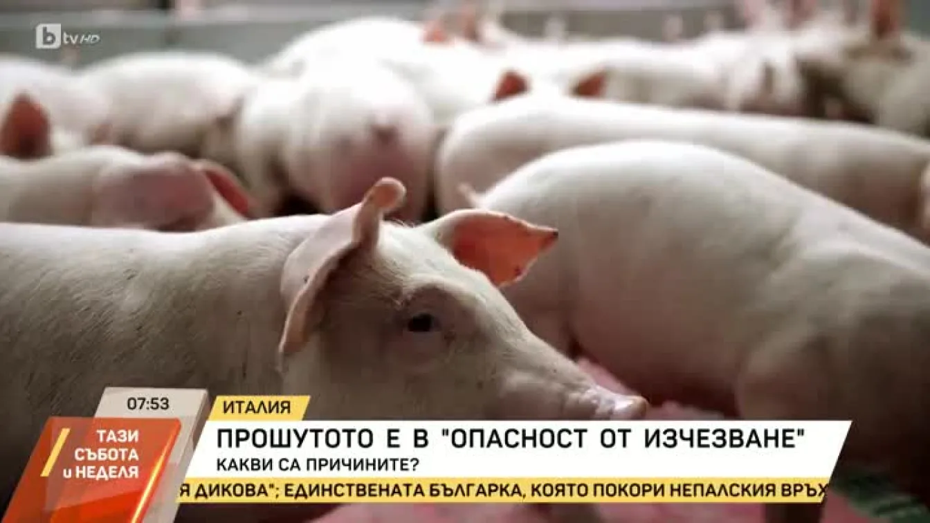Ще оцелее ли прошутото?