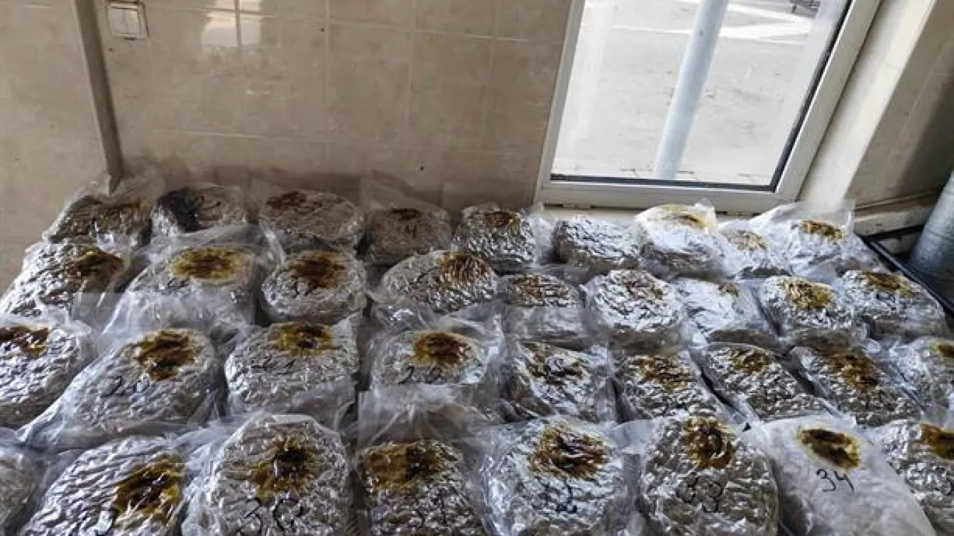 Откриха близо 19 кг марихуана в газови бутилки в кола на границата с Турция