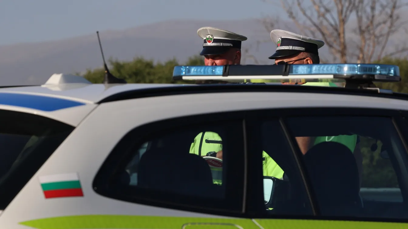 Намериха 3 тона животински продукти без документи в автобус и бус, влизащи от Турция
