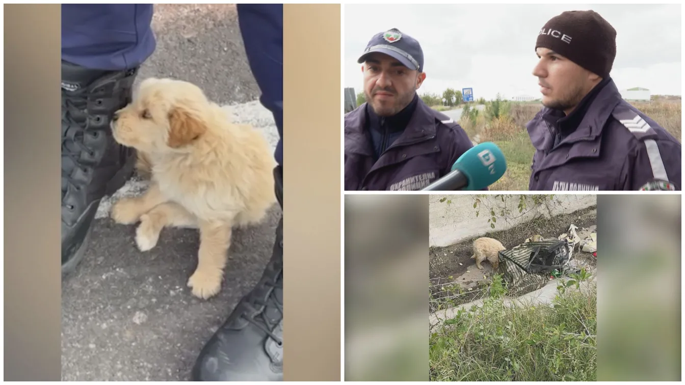 Полицаи от Елхово спасиха живота на кученце, вързано в торба на пътя и полузадушено