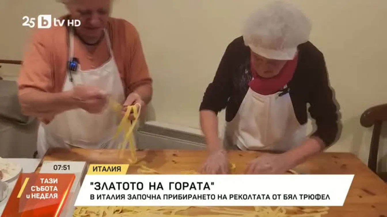 В Италия започна прибирането на реколтата от бял трюфел