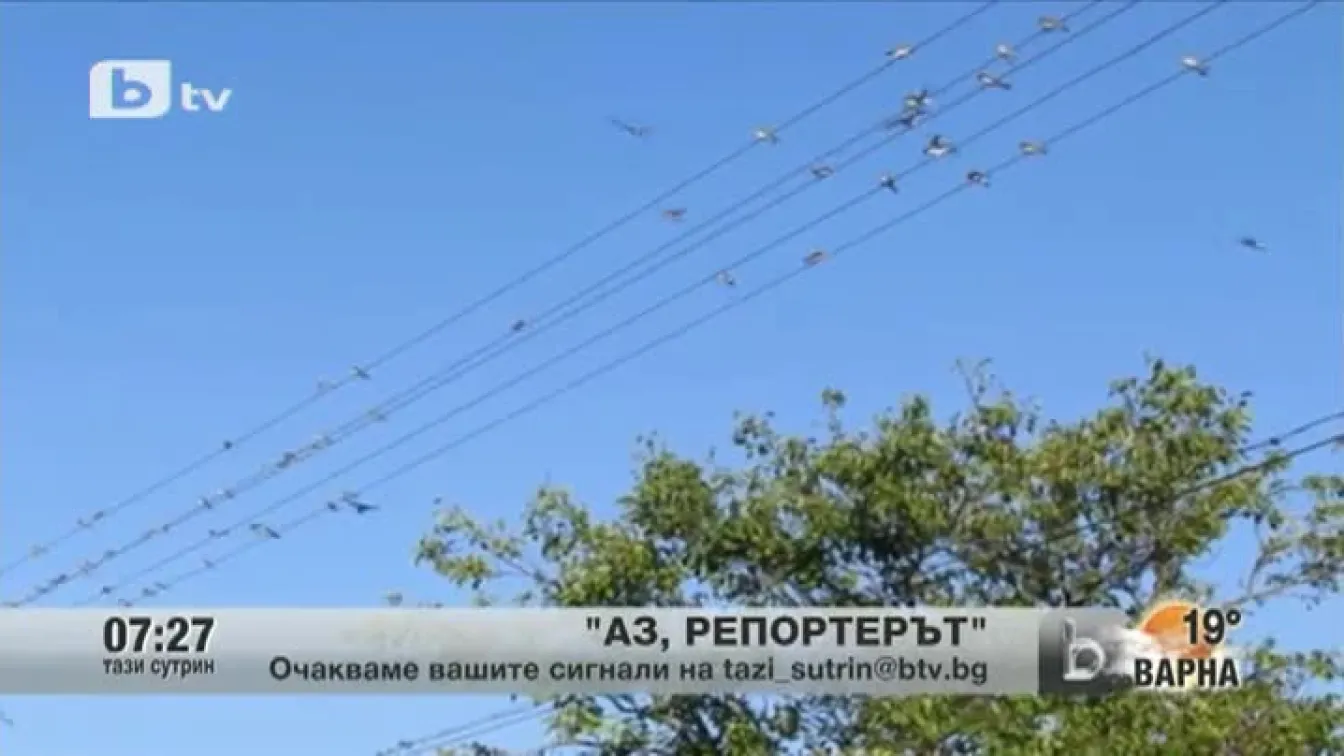 Кадри от Аз, репортерът