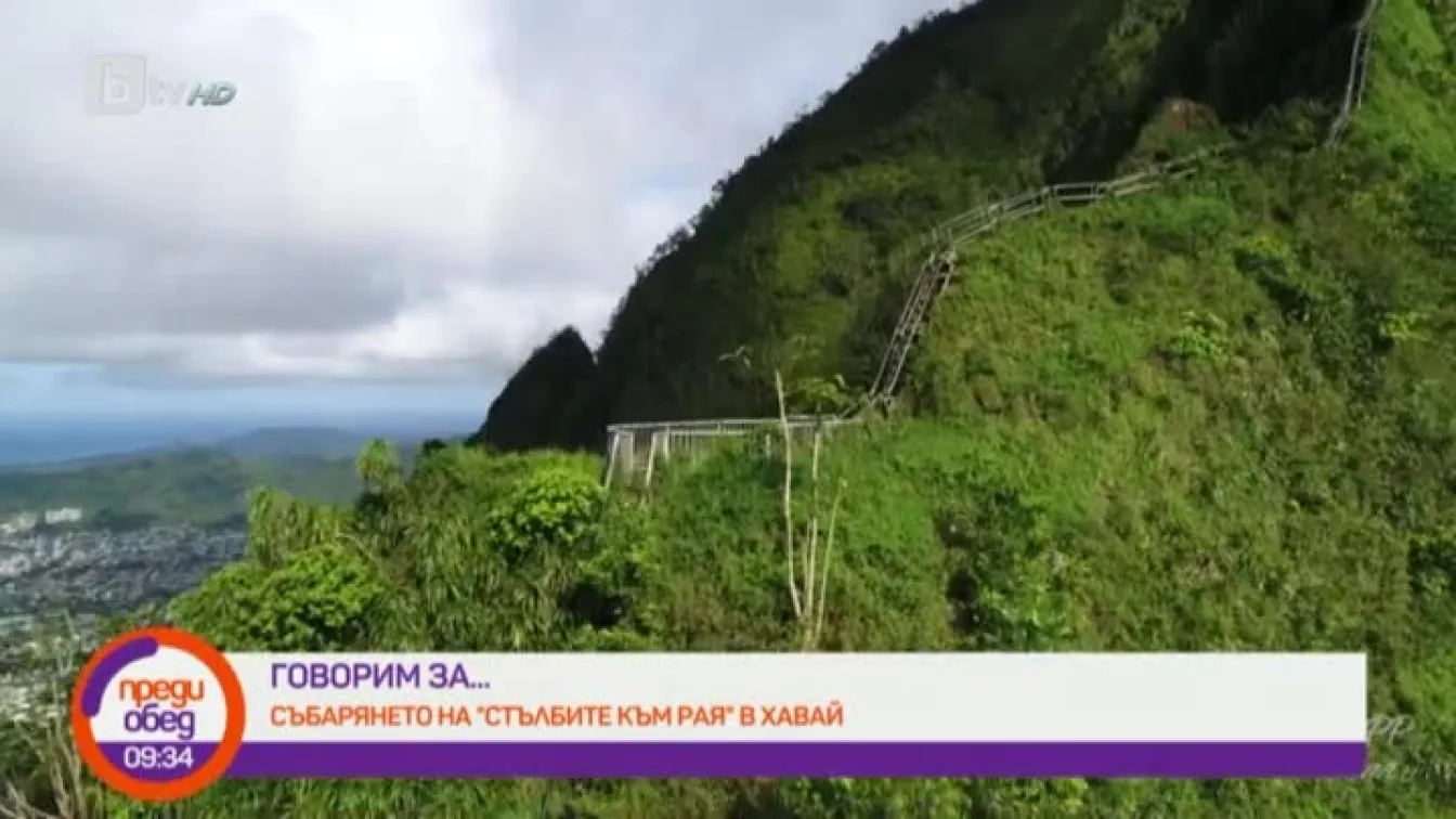Днес всички говорят за... събарянето на 