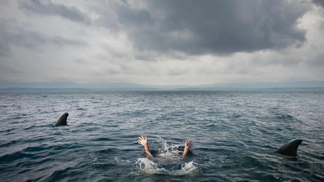 Да носиш 2 км на гръб най-добрия си приятел: История за спасението след ухапване от акула