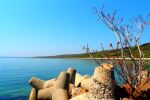 „Най-лошото е пластмасата“: Водолази почистиха морското дъно в Бургас