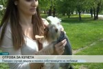 Необяснима жестокост към животните в столицата