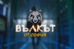 bTV Репортерите: Вълкът от София