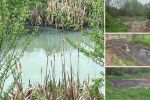 Измряла риба, оцветяване на водата, остра миризма: Биоотпадъци замърсиха река в Софийско (ВИДЕО И СНИМКИ)