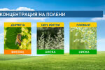Концентрацията на полени ще се повиши
